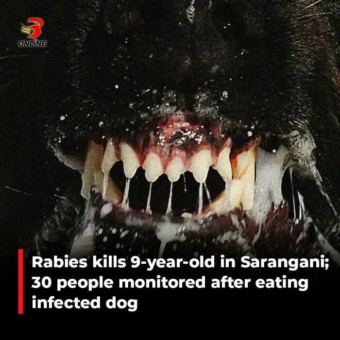 Close-up of a dog's mouth with foaming saliva illustrating the danger of rabies, highlighting traumatizing effects on the next generation.
