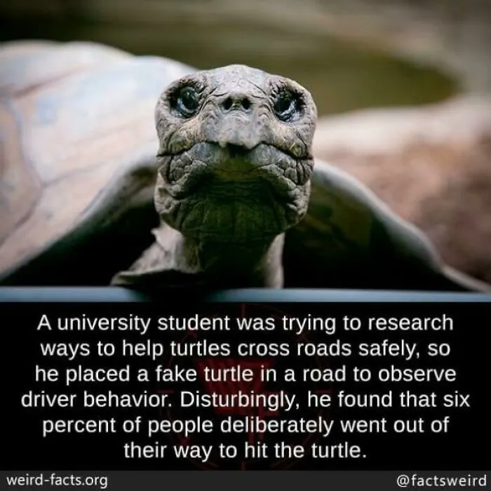 People Are The Worst
