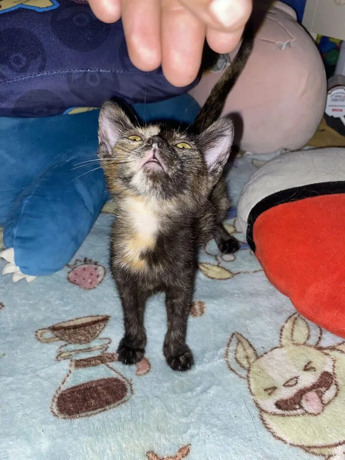 Milly The Rescue Baby..show Her Some Love!
