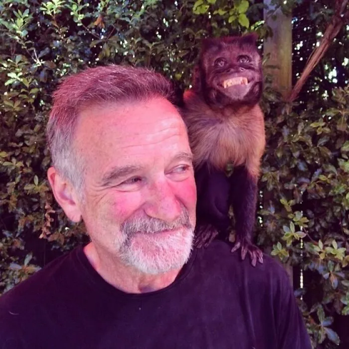 This Photo Of Robin Williams With His Monkey, Crystal, Was Posted By To His Instagram On His Birthday, 20 Days Before He Died