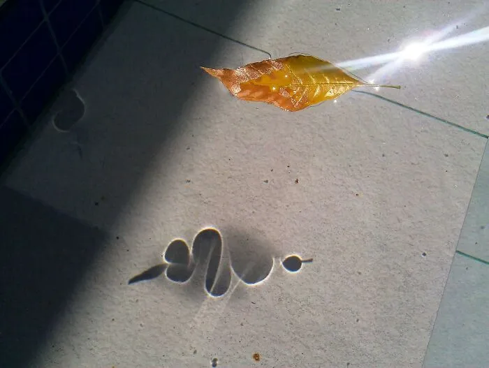 Leaf Floating On Water, Casting A Unique Shadow