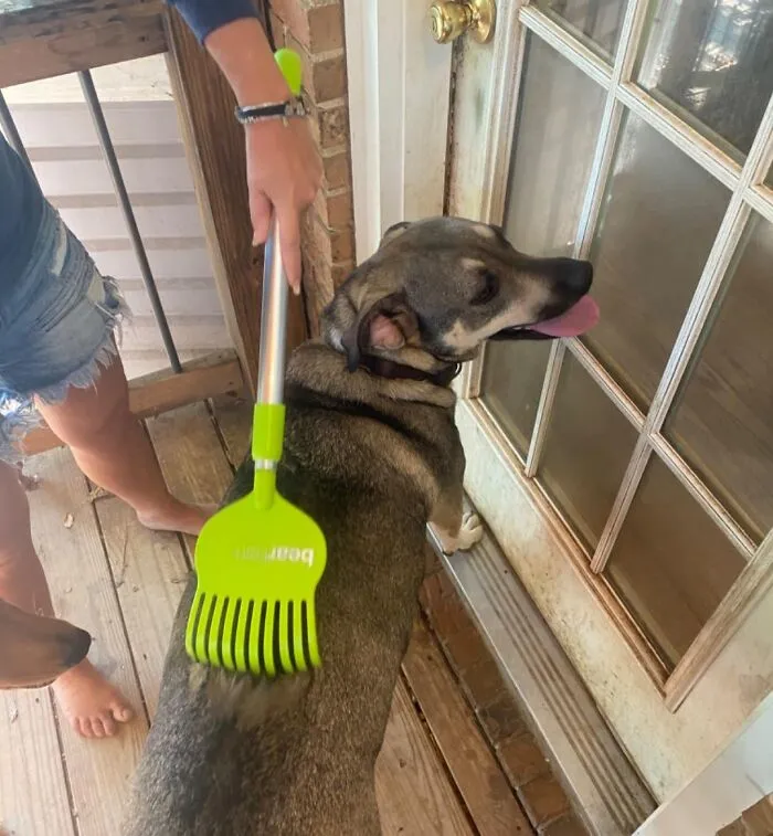 Your Dog Can Finally Hit All Those Itchy Spots Like Baloo Scratching On A Tree, But Way Less Messy, With This <a Style="Display:inline;" Href="Https://Www.amazon.com/Bearbark-Dog-Scratcher-Extendable-Long-Reach/Dp/B07yj5cf52?ie=utf8&linkcode=ll1&tag=bpbird-20&linkid=89c3978928ac4f209d9cf3233d0c7ebd&language=en_us&ref_=as_li_ss_tl" Target="_blank"><span Style="Font: Inherit; Color: #d74b1f;"> Bearbark Dog Scratcher </Span>