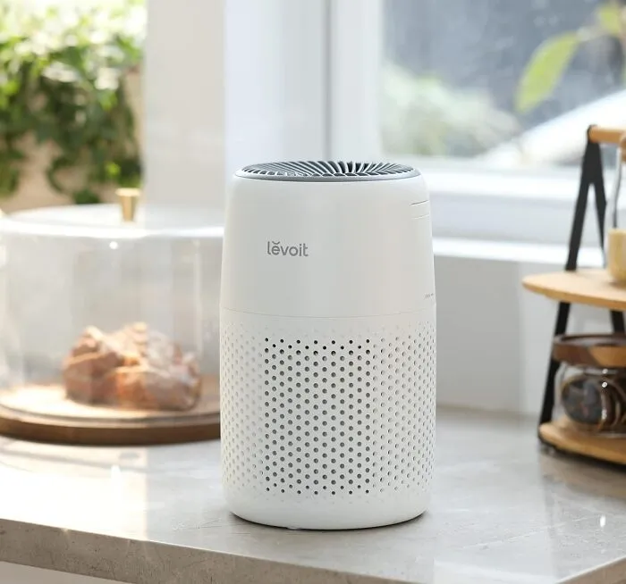 These <a Style="Display:inline;" Href="Https://Www.amazon.com/Levoit-Purifiers-Freshener-Core-Mini/Dp/B09gtrvjqm?pd_rd_w=wrmoj&content-ID=amzn1.sym.8fb8da24-F4e8-46ef-8a9d-A0eee43c124e&pf_rd_p=8fb8da24-F4e8-46ef-8a9d-A0eee43c124e&pf_rd_r=2eqpt6htag3mqk9nkh2d&pd_rd_wg=hhmww&pd_rd_r=c5a4593d-Db2b-4bae-BF98-9cf5b69f67ea&pd_rd_i=b09gtrvjqm&th=1&linkcode=ll1&tag=bppig-20&linkid=ff57b363eab71844cec6b08cd2b641b6&language=en_us&ref_=as_li_ss_tl" Target="_blank"><span Style="Font: Inherit; Color: #d74b1f;"> Air Purifiers </Span> Are Basically Your Home's Personal Bouncers, Telling Dust, Pollen, And Funky Smells 'You're Not On The List'
