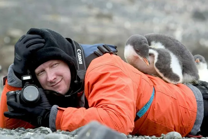 Yo intentando fotografiar los pingüinos
