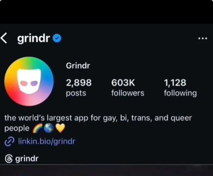 Screenshot of Grindr profile showing 2,898 posts and 603K followers, related to internet lies and absurd humor.