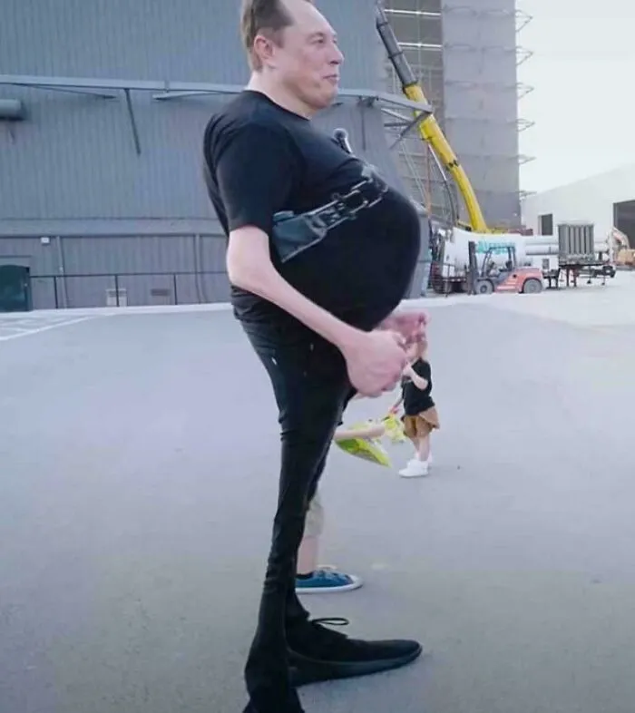 Así lucía Elon Musk en 2024