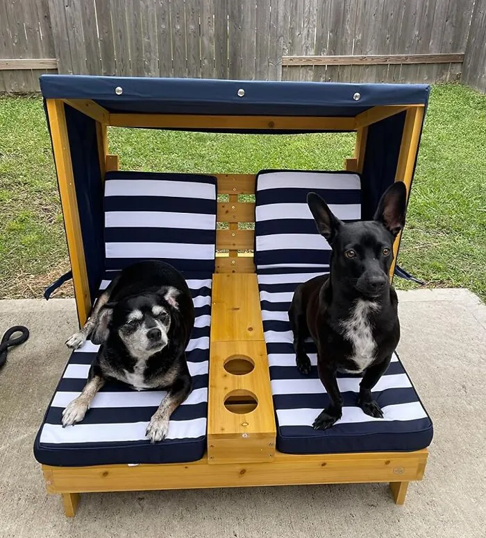 Your Pets Can Now Lounge By The Petunias In More Style Than You Probably Do, Thanks To This Ridiculously Adorable <a Style="Display:inline;" Href="Https://Www.amazon.com/Dp/B01bwmthte?_encoding=utf8&th=1&linkcode=ll1&tag=bpeagle-20&linkid=9429ecad068a86a143c7b1b2c2968e38&language=en_us&ref_=as_li_ss_tl" Target="_blank"><span Style="Font: Inherit; Color: #d74b1f;"> Double Chaise Lounge For Pets </Span>
