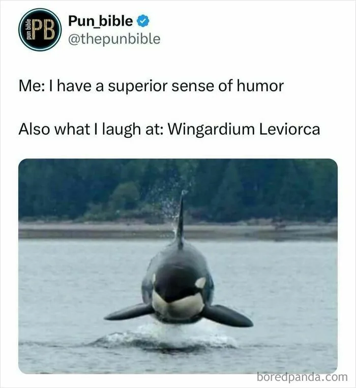 50 Side-Splitting Pun Memes That Are As Genius As They Are Cringeworthy (New Pics)