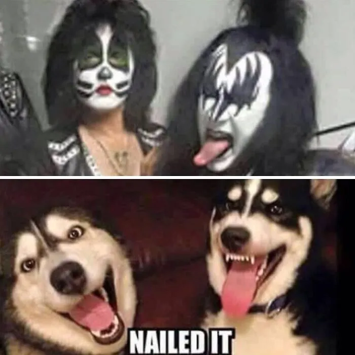 50 Memes That Might Give You A Chuckle And Brighten Your Day (New Pics)