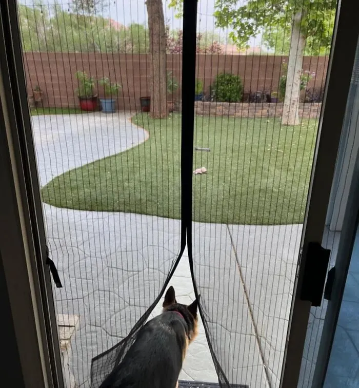 You Can Finally Retire From Your Unpaid Summer Job Of Shouting 'Were You Raised In A Barn?' Thanks To This <a Style="Display:inline;" Href="Https://Www.amazon.com/Magnetic-Screen-Door-Partition-Friendly/Dp/B074twkvqb?ie=utf8&th=1&linkcode=ll1&tag=bpkiwi-20&linkid=84299410314a0ac26f9e361fb8ed97fa&language=en_us&ref_=as_li_ss_tl" Target="_blank"><span Style="Font: Inherit; Color: #d74b1f;"> Magnetic Screen Door </Span>
