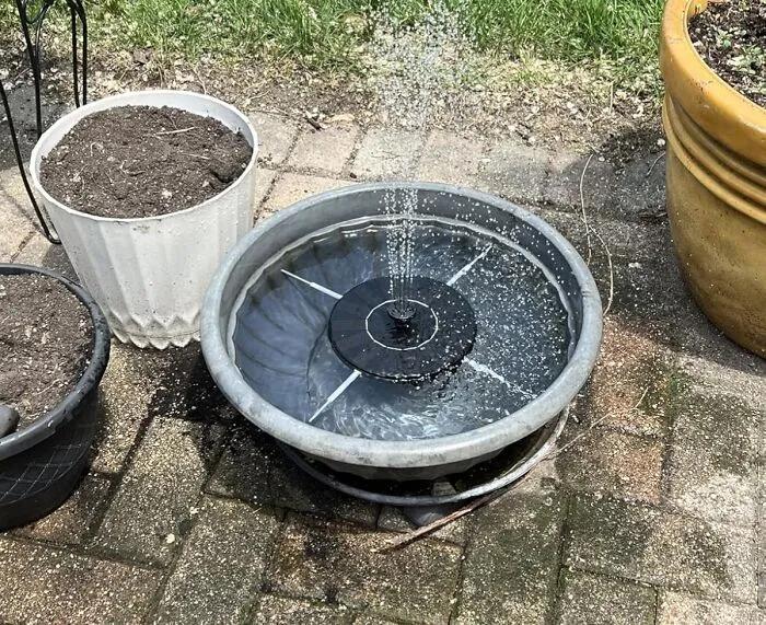 Make Your Backyard The Hottest Spring Break Destination For The Local Bird-Erati With Some <a Style="Display:inline;" Href="Https://Www.amazon.com/Mademax-Fountain-Upgrade-Standing-Floating/Dp/B085c5lqn3?ie=utf8&linkcode=ll1&tag=bpsnail-20&linkid=942d516be5d26e397a4f91f358ff010b&language=en_us&ref_=as_li_ss_tl" Target="_blank"><span Style="Font: Inherit; Color: #d74b1f;"> Solar Bird Bath Fountains </Span>