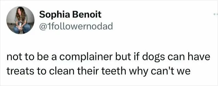 Funny animal meme text about dogs having treats to clean teeth, highlighting delightful animals in a humorous context.