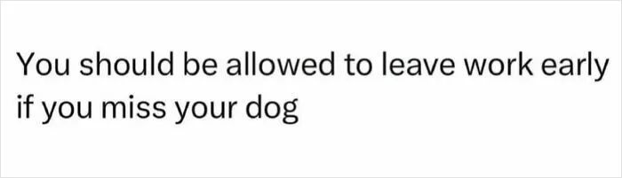 Text meme stating you should be allowed to leave work early if you miss your dog, featuring delightful animals humor.