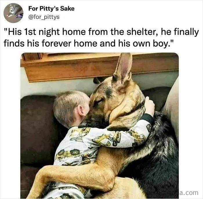 50 Uplifting Posts That Might Restore Your Faith In Humanity And Goodness In The World