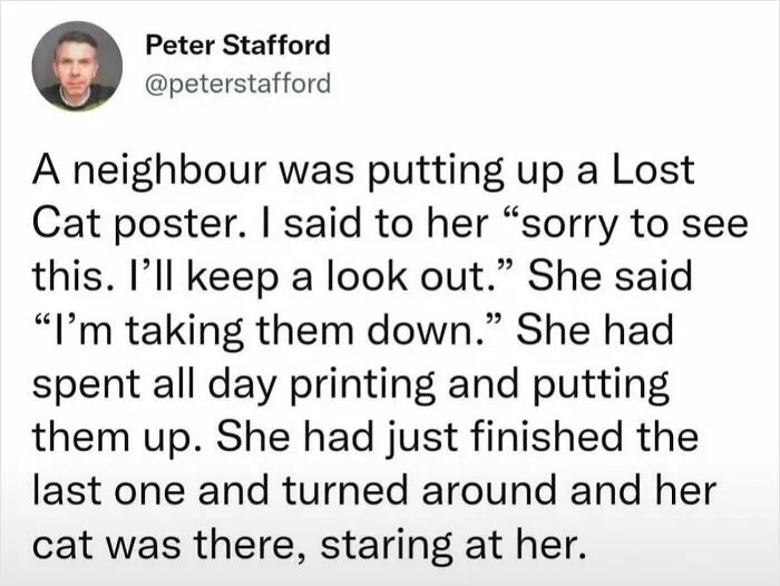 Funny text post about a lost cat poster with a surprising twist, featuring delightful animals humor and charm.