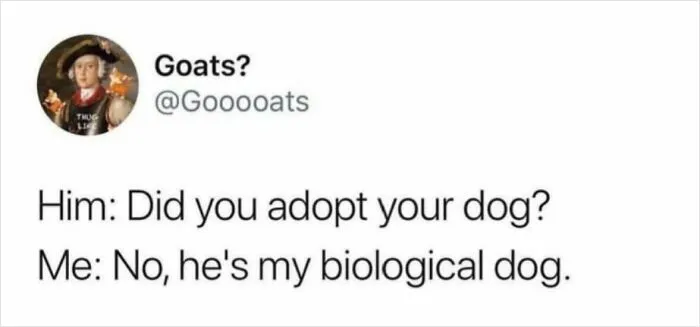 50 Adorable Animal Memes That Might Just Turn Your Day Around