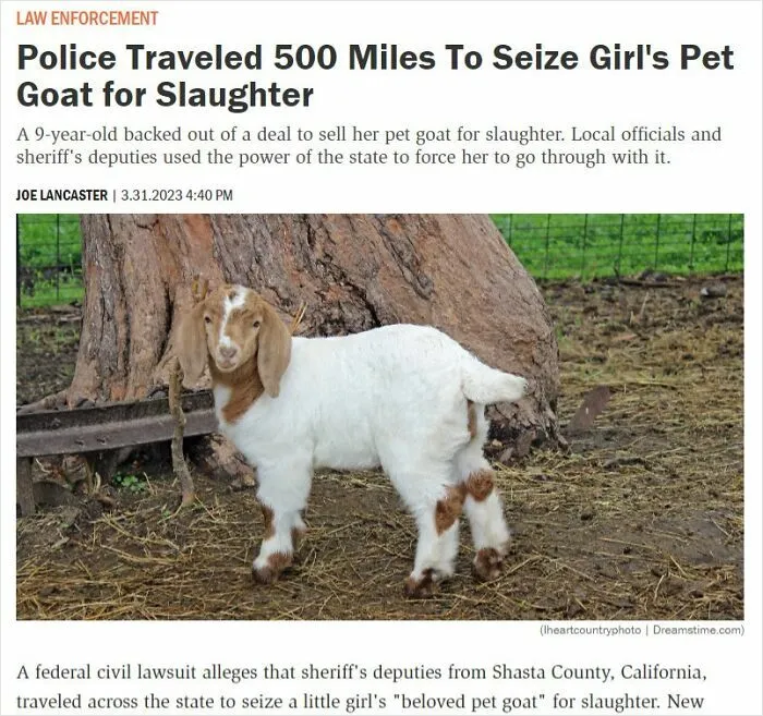 Police travel 500 miles to seize a girl's pet goat, highlighting traumatizing actions affecting the next generation.