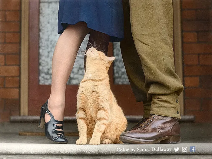 Soldier’s Goodbye & Bobbie The Cat In Sydney, Australia, 8 March 1941 During Ww2