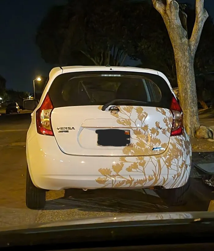 The Shadow From This Plant Makes It Look Like There's A Decal On My Friend's Car