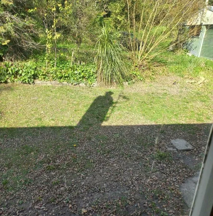 Shadow of a person in a garden casting a cool and interesting shadow that makes people look twice.
