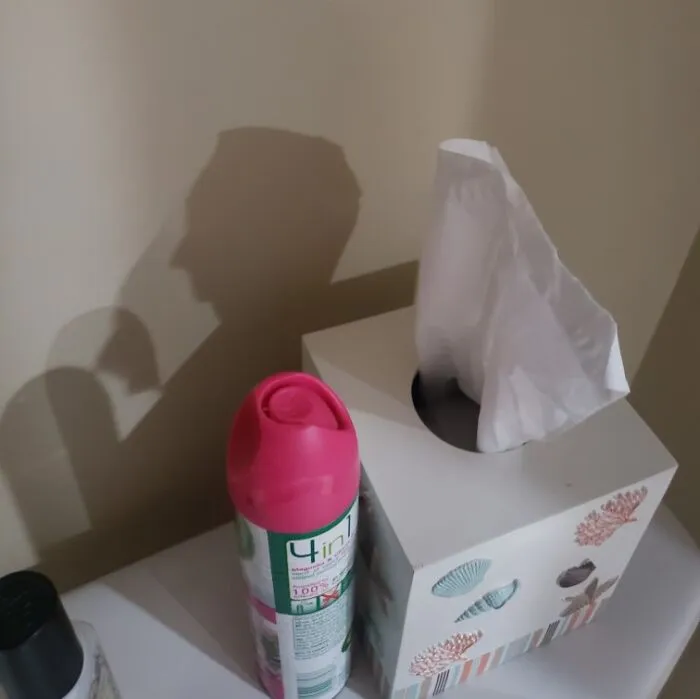 Shadow cast on a wall resembling a man’s profile, showcasing one of the cool and interesting shadows that made people look twice.