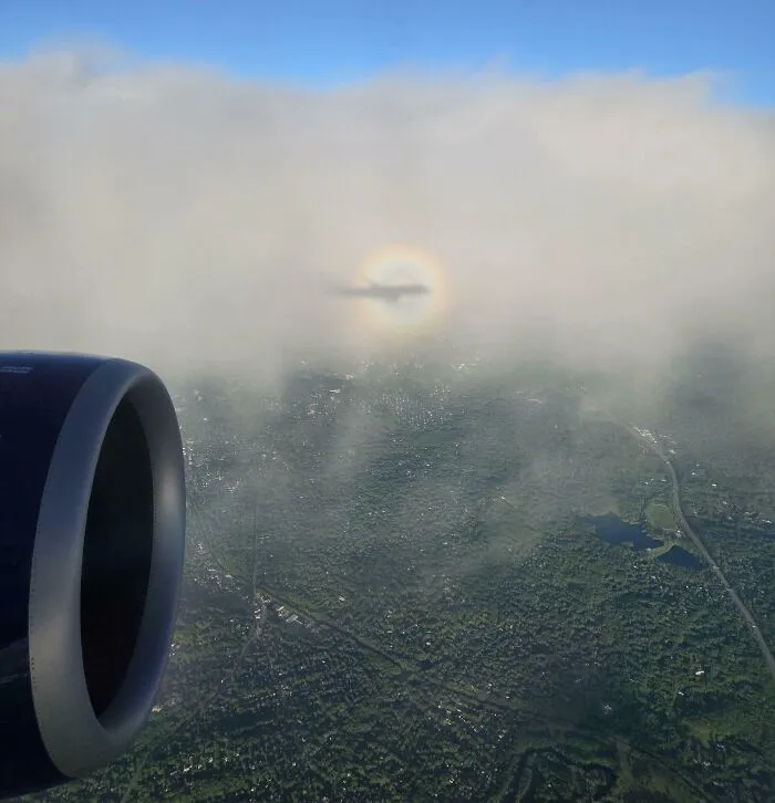 The Shadow Of The Plane I Was On Was Surrounded By A Rainbow
