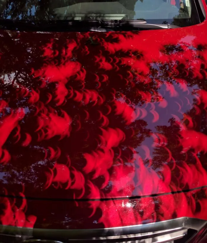 Red car hood covered with cool, interesting shadows of crescent shapes and tree branches creating a bizarre visual effect.