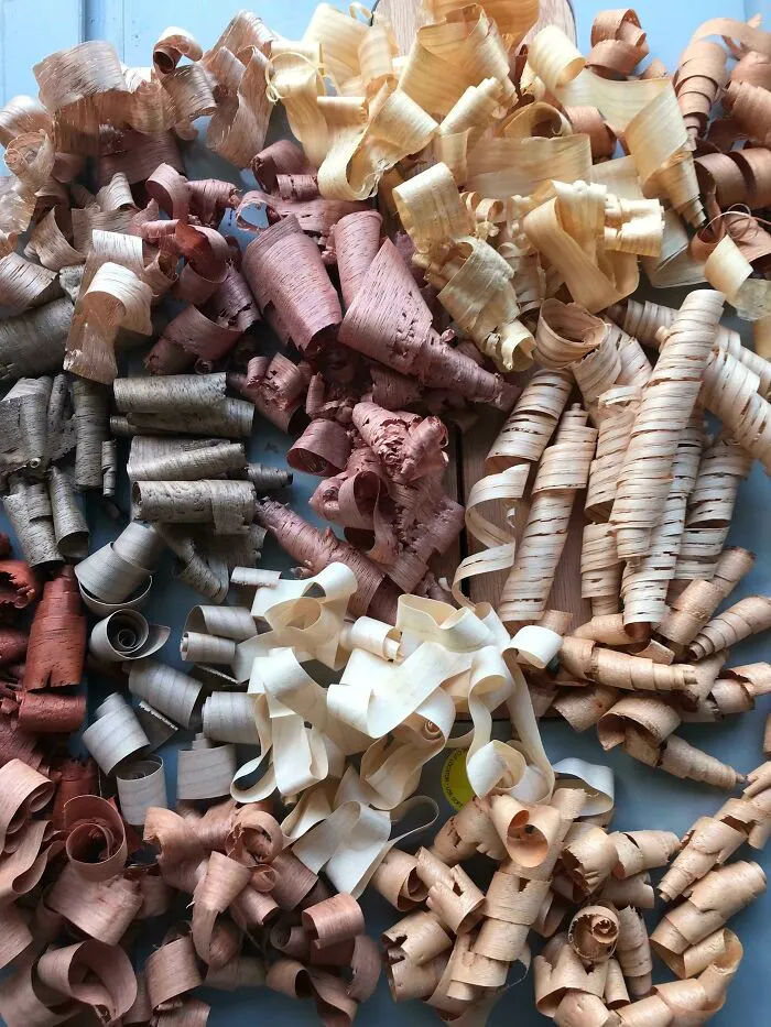 Todas las virutas de madera diferentes en mi taller