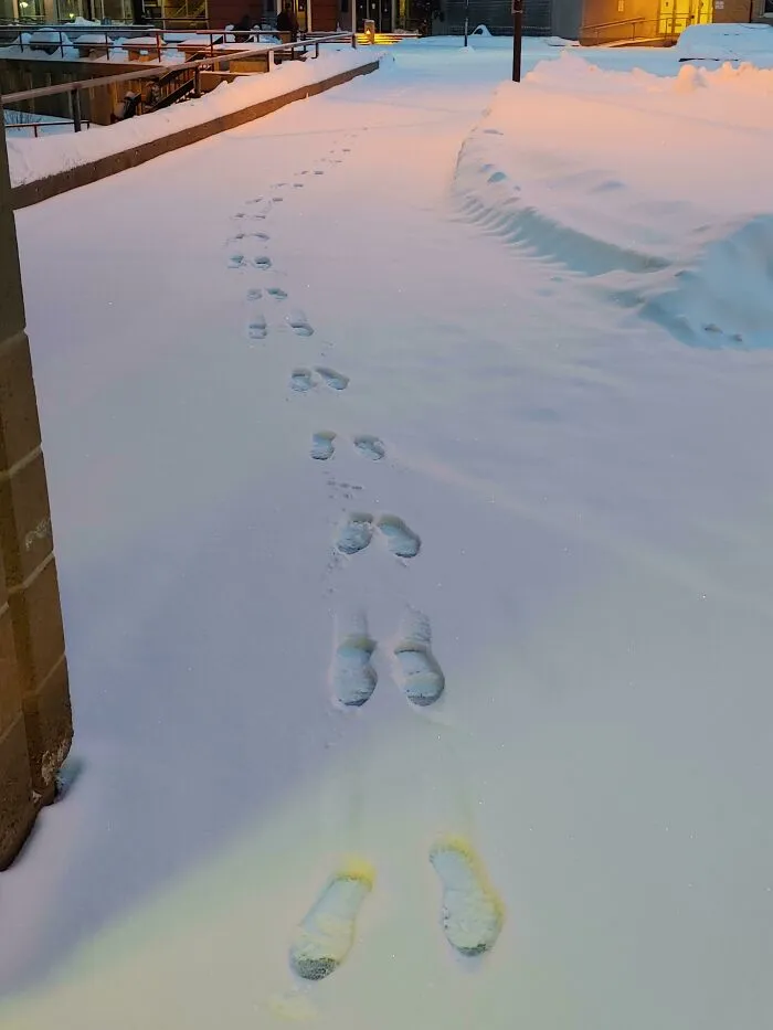 Si hay una sola línea de huellas en la nieve, me gusta caminar en el paso opuesto para que parezca que una persona estaba saltando.