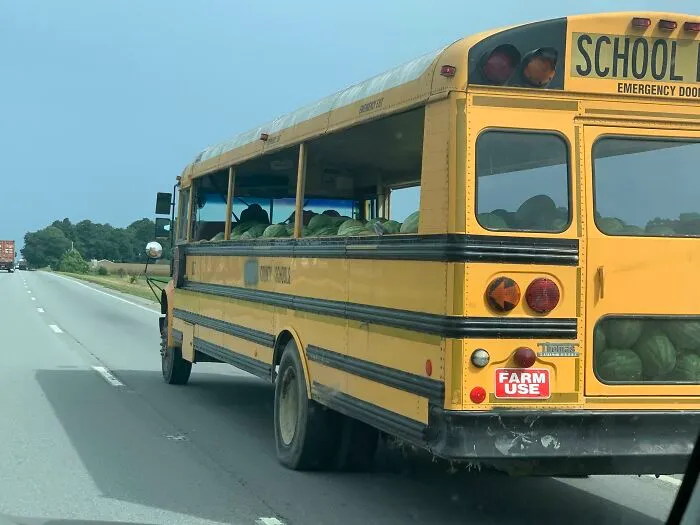 Autobús escolar amarillo cargado de sandías, imagen divertida para hacerte reír hoy en carretera abierta.