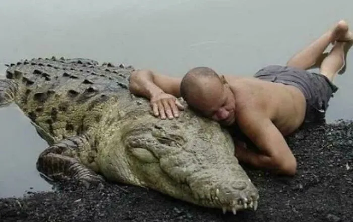Man lying next to a large crocodile by the water, illustrating one of the most fascinating content on the internet.