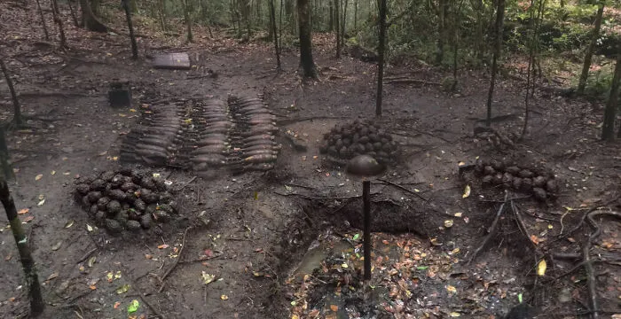 Unusual arrangement of objects and natural elements captured in a forest scene showcasing shenanigans on Google Maps.