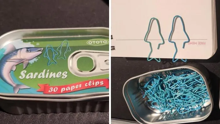 These <a Style="Display:inline;" Href="Https://Www.amazon.com/Pcs-Cute-Paper-Clips-Ototo/Dp/B0cn19xg17?ie=utf8&th=1&linkcode=ll1&tag=bphawk-20&linkid=994bd806f3ef5734265e46c81a70f866&language=en_us&ref_=as_li_ss_tl" Target="_blank"><span Style="Font: Inherit; Color: #d74b1f;"> Sardine Paper Clips </Span> In Their Own Little Tin Will Make Organizing Your Documents Feel Unexpectedly Quirky And Slightly Fishy