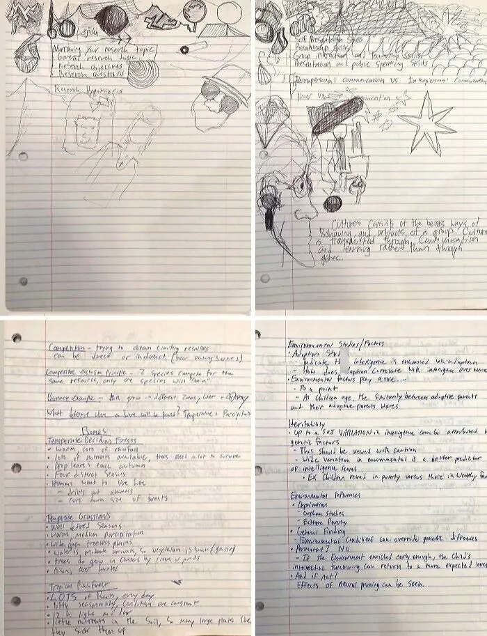 Páginas con apuntes y dibujos hechos a mano, mostrando imágenes comparativas para nueva perspectiva del mundo.
