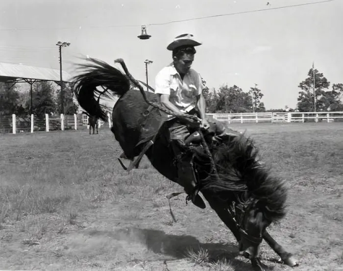Wild Horse And Cowboy At Tupperware "Jubilee" - Orange County, Florida, 1955
