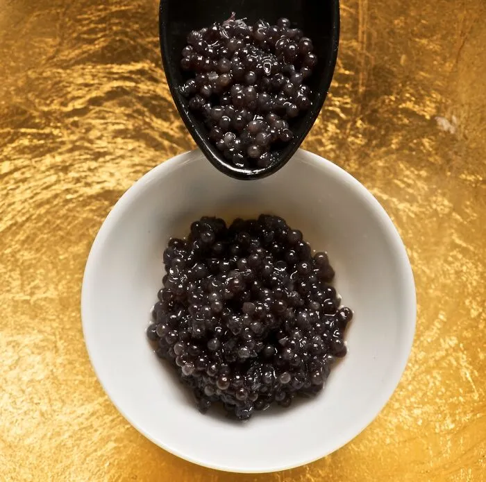 Beluga Caviar
