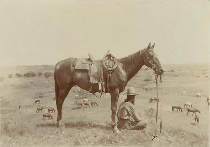 Cowboy, 1907