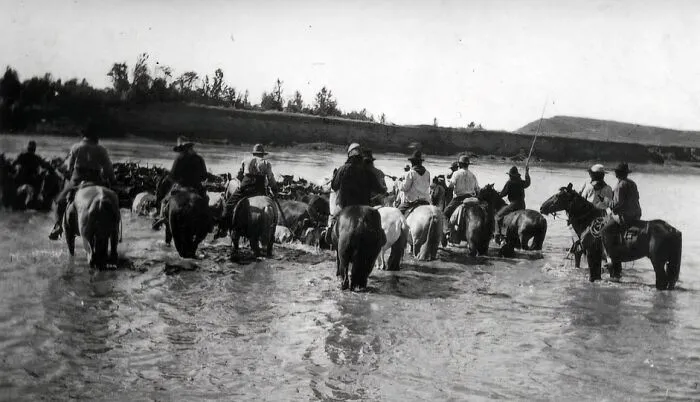 Cowboys Crossing River, 1910