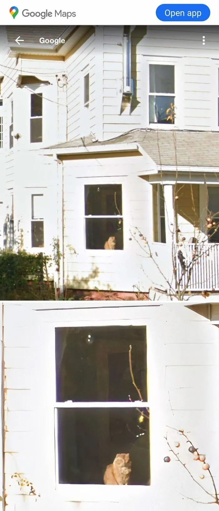 My Buddy Who Left Us In November, Is Still On Google Street View