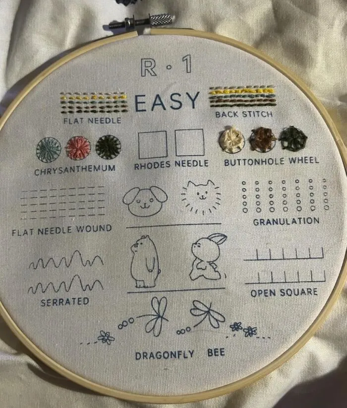 The Internet Is Currently Obsessed With Turning Plain Fabric Into Tiny Masterpieces (Or Sassy Statements), And This <a Style="Display:inline;" Href="Https://Www.amazon.com/Cyanfour-Embroidery-Kit-Beginners-Instruction/Dp/B0d9d4cjdh?ie=utf8&th=1&linkcode=ll1&tag=bpbuffalo-20&linkid=596ed53d86197876f9460622fd9786e9&language=en_us&ref_=as_li_ss_tl" Target="_blank"><span Style="Font: Inherit; Color: #d74b1f;"> Beginner Embroidery Kit </Span> Is How You Get In On The Action