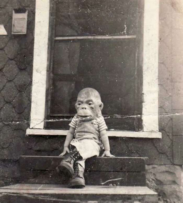 Young Child Born As A Result Of Human-Ape Mating Experiments (1950)