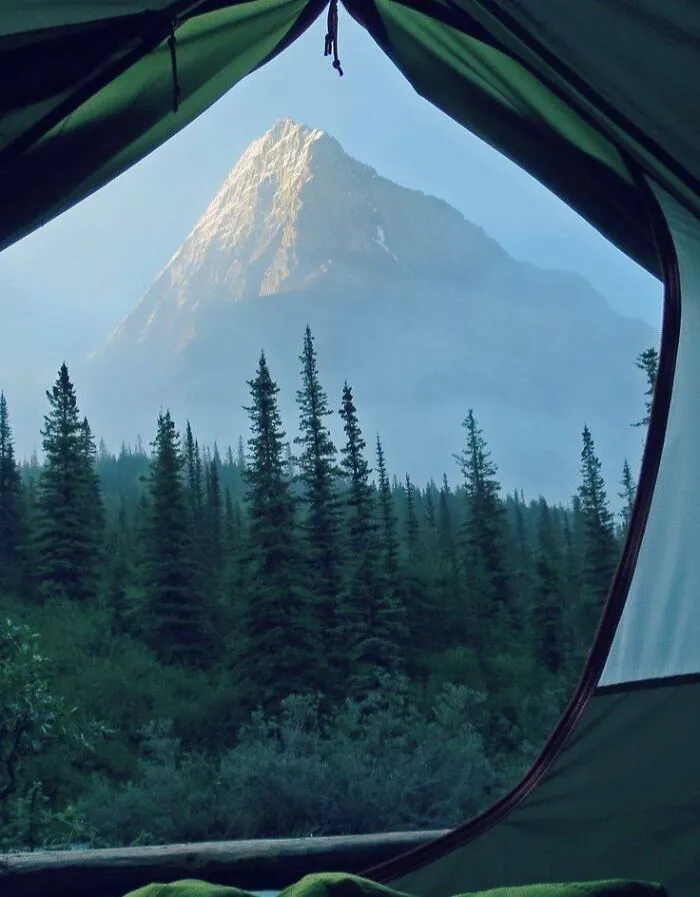 When Life Truly Comes Into View. Berg Lake Trail In Mt. Robson Provincial Park, British Columbia