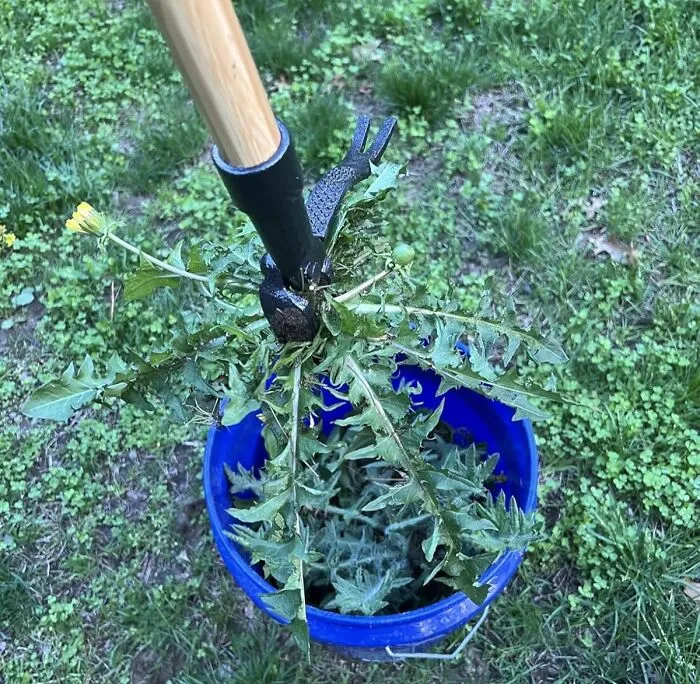 Let Those Smug Dandelions Know Their Time Is Up, Because The Satisfying 'Pop' Of <a Style="Display:inline;" Href="Https://Www.amazon.com/Grampas-Weeder-Cw-01-Original-Remover/Dp/B001d1ffza?ie=utf8&linkcode=ll1&tag=bpsquid-20&linkid=471314afc95dc6f0ccb13f0cbf42b10b&language=en_us&ref_=as_li_ss_tl" Target="_blank">    <span Style="Font: Inherit; Color: #d74b1f;"> Grampa's Weeder </Span> Is The Sweet, Sweet Sound Of Your Victory