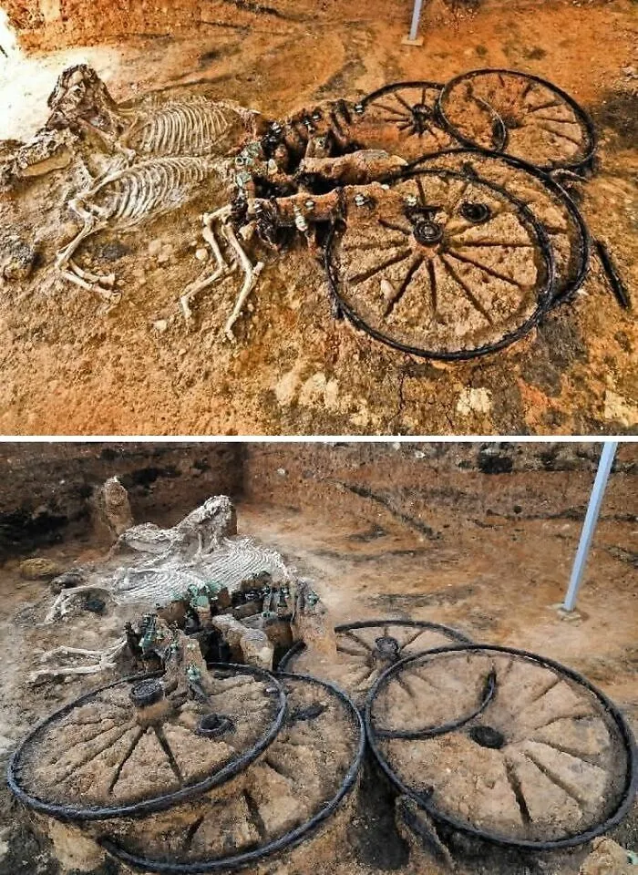 The Thracian Chariot