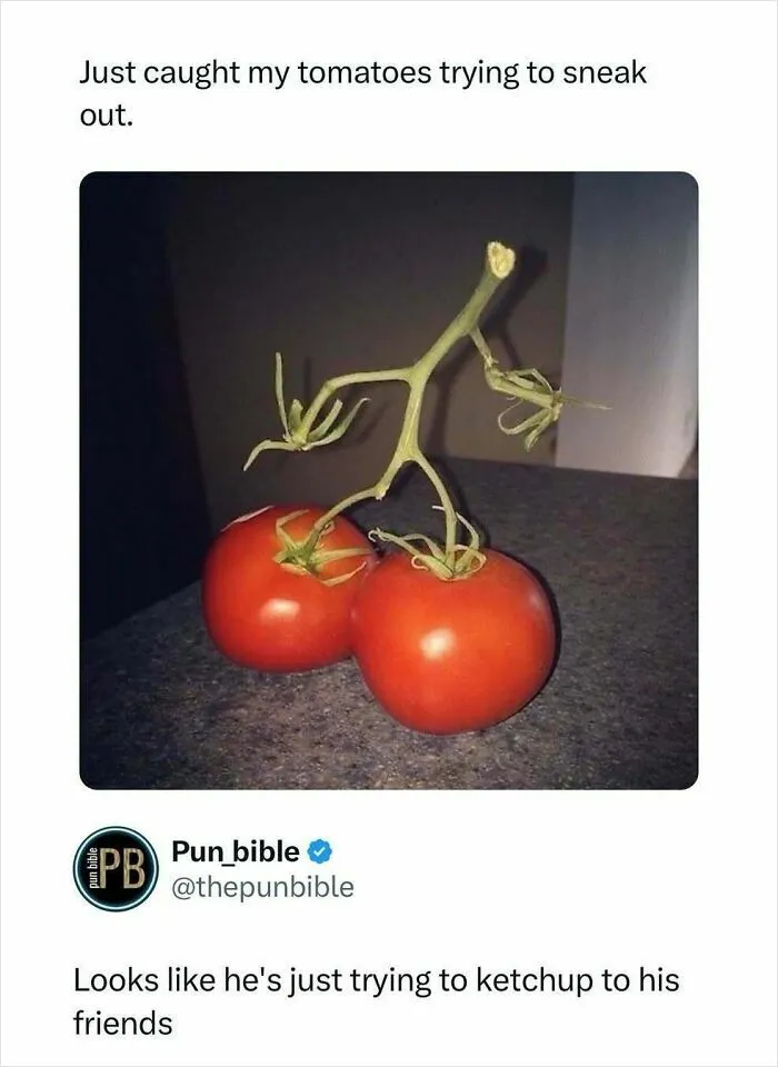 50 Side-Splitting Pun Memes That Are As Genius As They Are Cringeworthy (New Pics)