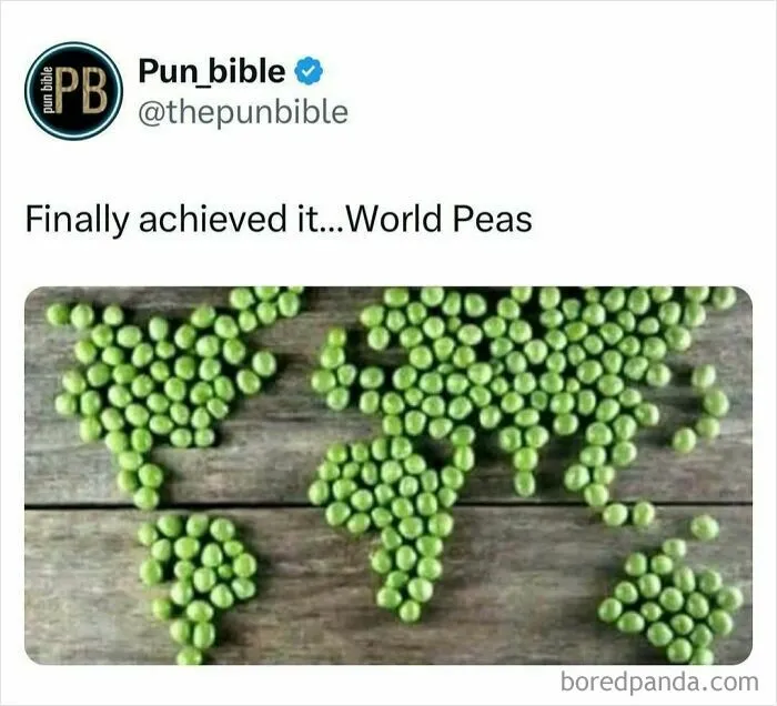 50 Side-Splitting Pun Memes That Are As Genius As They Are Cringeworthy (New Pics)