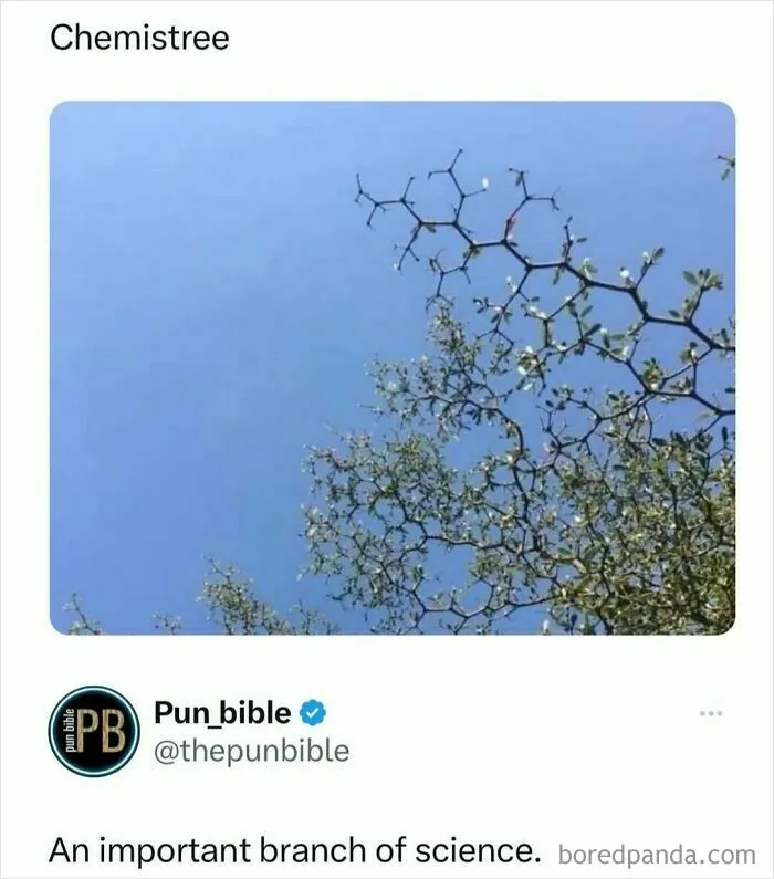 Branch of tree resembling chemical structure, illustrating pun meme on wordplay and hilarious pun comedy.