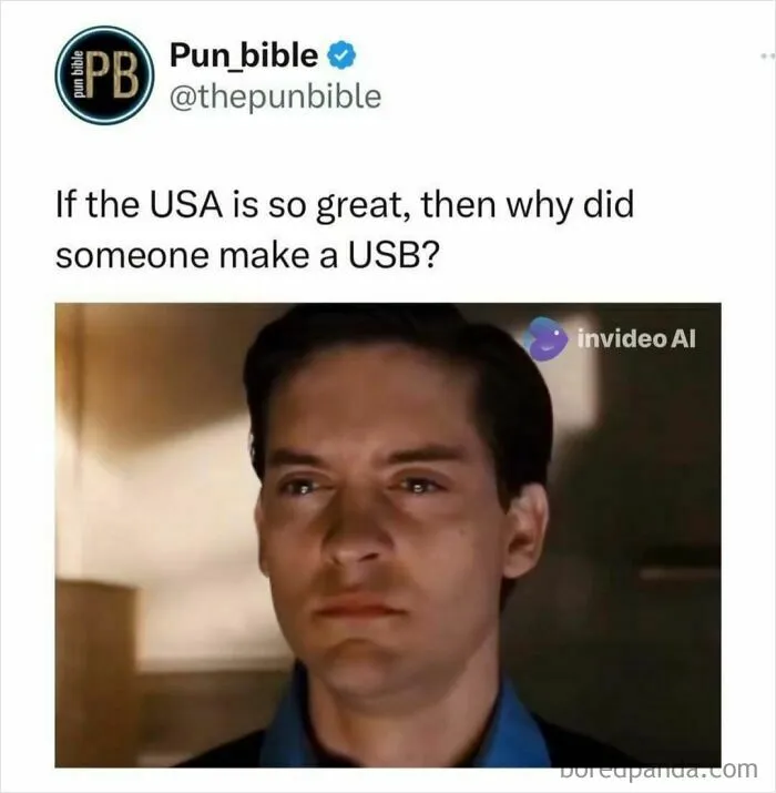 Pun meme questioning why a USB was made if the USA is so great, featuring a thoughtful man’s expression.