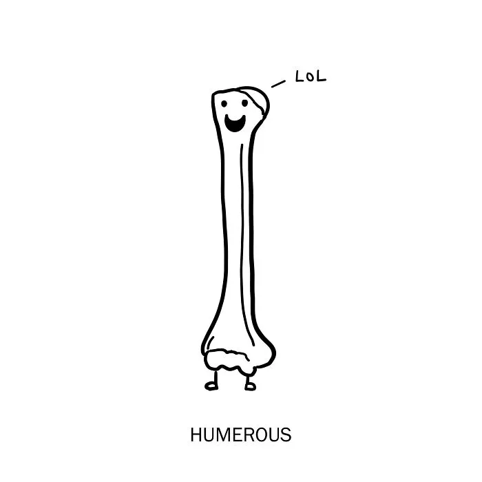 40 Humorous Illustrations That Playfully Redefine Words, By Nadia Tolstoy (New Pics)