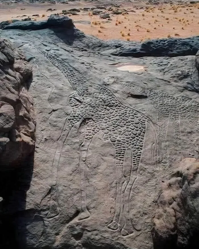 Las jirafas de Dabous son grabados rupestres prehistóricos emblemáticos que se encuentran en la meseta de Ennedi, en el noreste de Chad.